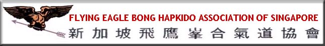 Flying Eagle Bong Hapkido Singapore